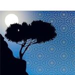 Les Nuits De La Peste / Orhan Pamuk (Auteur)