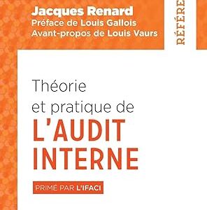 Théorie Et Pratique De L'Audit Interne: Primé Par L'IFACI / Jacques Renard (Auteur)