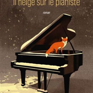 Il Neige Sur Le Pianiste: Roman / Claudie Hunzinger (Auteur)