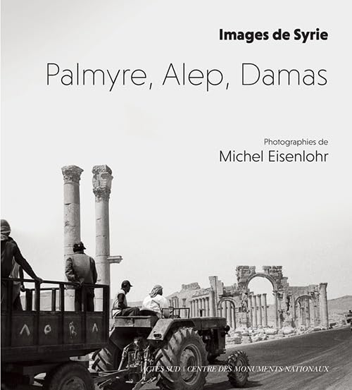 Images De Syrie: Palmyre, Alep, Damas / Philippe Belaval (Auteur), Yann Brun (Auteur), Pierre Gros (Auteur), & 5 plus