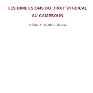Les Dimensions Du Droit Syndical Au Cameroun / Gislain Grégory Tsasse Saha (Auteur)