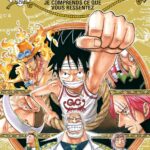 One Piece - Édition Originale - Tome 45: Je Comprends Ce Que Vous Ressentez / Eiichiro Oda (Auteur)