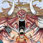 One Piece - Édition Originale - Tome 48: L'Aventure D'Oz / Eiichiro Oda (Auteur)