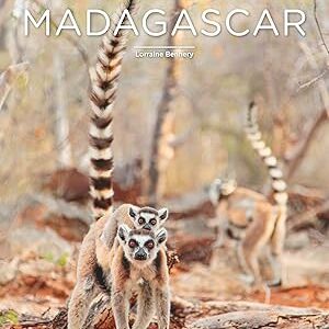 Madagascar - Les Clés Pour Bien Voyager / Lorraine Bennery (Auteur)