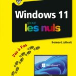 Pour Les Nuls : Windows 11 Pas à pas Pour les Nuls