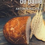 Le Pain De Paille / Antonin Malroux (Auteur)