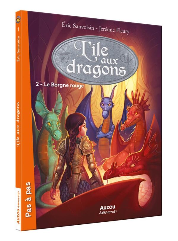 L'Île Aux Dragons (2Ème Cycle) - Tome 2 Le Borgne Rouge / Eric Sanvoisin (Auteur)