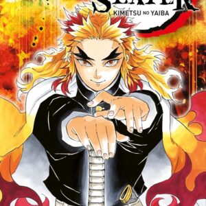 Demon Slayer T08 / Koyoharu Gotouge (Auteur)