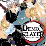 Demon Slayer T09 / Koyoharu Gotouge (Auteur)