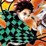 Demon Slayer T23 Edition Collector / Koyoharu Gotouge (Auteur)