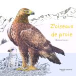 Z'oiseaux De Proie / Christine Flament (Auteur)