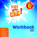 I Really Bet You Can! Anglais 6e (2017) - Workbook / Frédéric André (Auteur), etc.