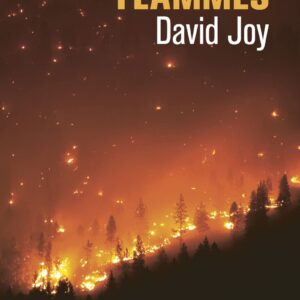 Nos Vies En Flammes / David Joy (Auteur)