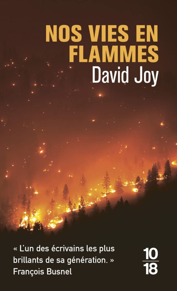 Nos Vies En Flammes / David Joy (Auteur)