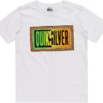 T-Shirt Pour Garçons QUIKSILVER Day Tripper 8-16 ans - Blanc