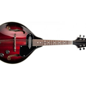 Mandoline Bluegrass Électro-Acoustique STAGG M50 E