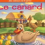 Départ - Canard & Cannetons Humo